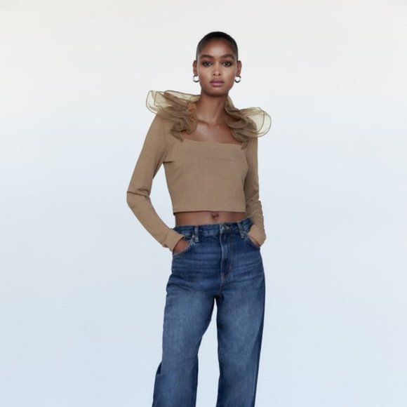 Zara | Tops | Zara Organza Shirt | Poshmark